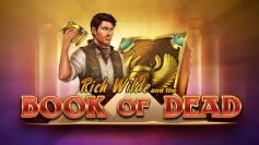 Book of Dead slot by Play'n GO